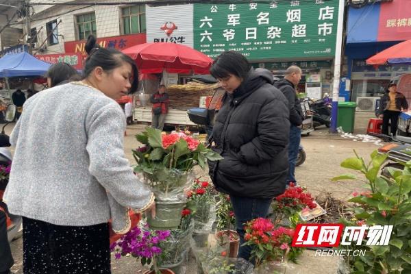 半岛体育荷塘区仙庾镇：乡村集市花卉苗木生意火了(图2)