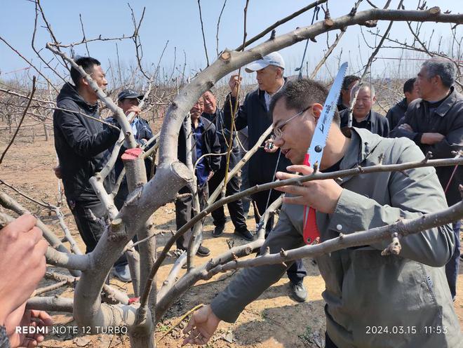 半岛体育中国农科院专家高庄镇把脉果树管理(图1)