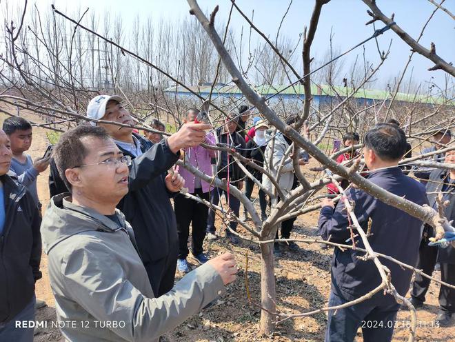 半岛体育中国农科院专家高庄镇把脉果树管理(图4)