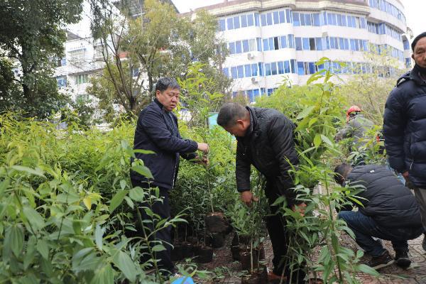 半岛(中国)体育·官方网站不到两小时被“抢”光！4000株珍贵树苗有了“守护者”(图4)