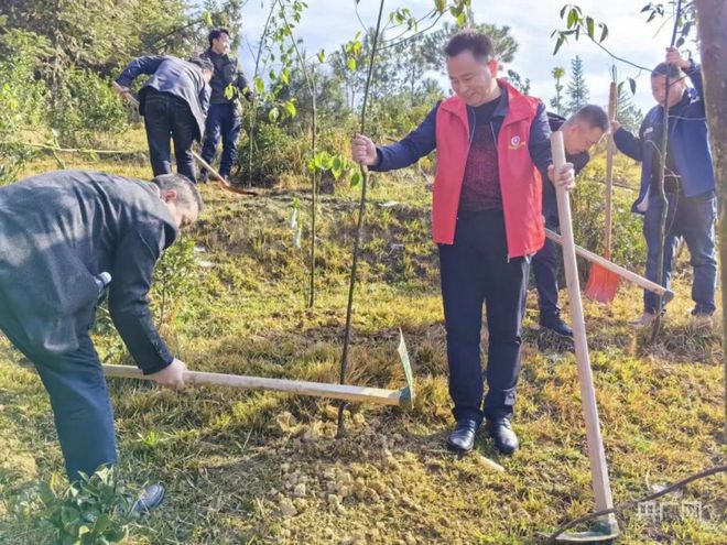 半岛体育【“植”此青绿】湖南武冈： 新植苗木140万余株(图1)