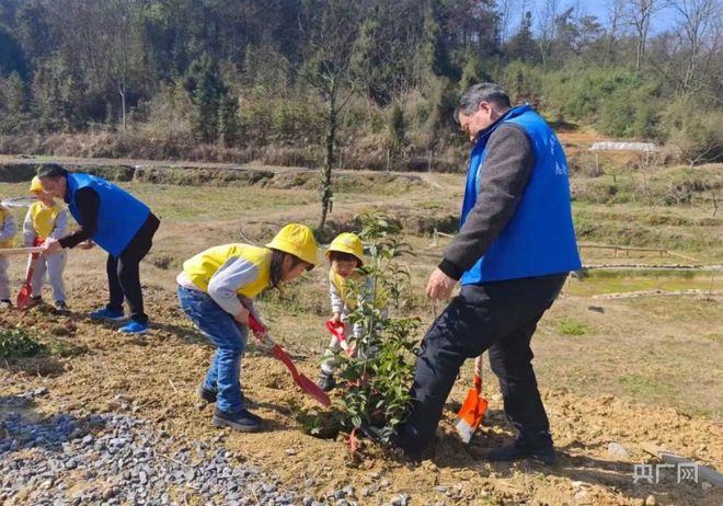 半岛体育【“植”此青绿】湖南武冈： 新植苗木140万余株(图3)