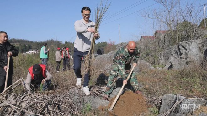 半岛体育【“植”此青绿】湖南武冈： 新植苗木140万余株(图2)