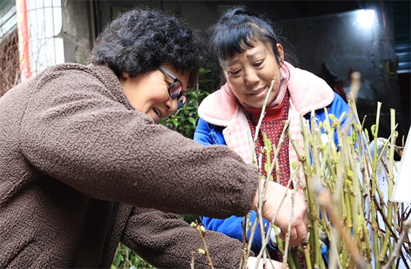 半岛体育永州冷水滩：人勤春早 苗木俏销(图3)