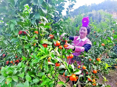 半岛体育福建省福州市罗源县白塔乡南洋村：在绿水青山间蝶变(图2)