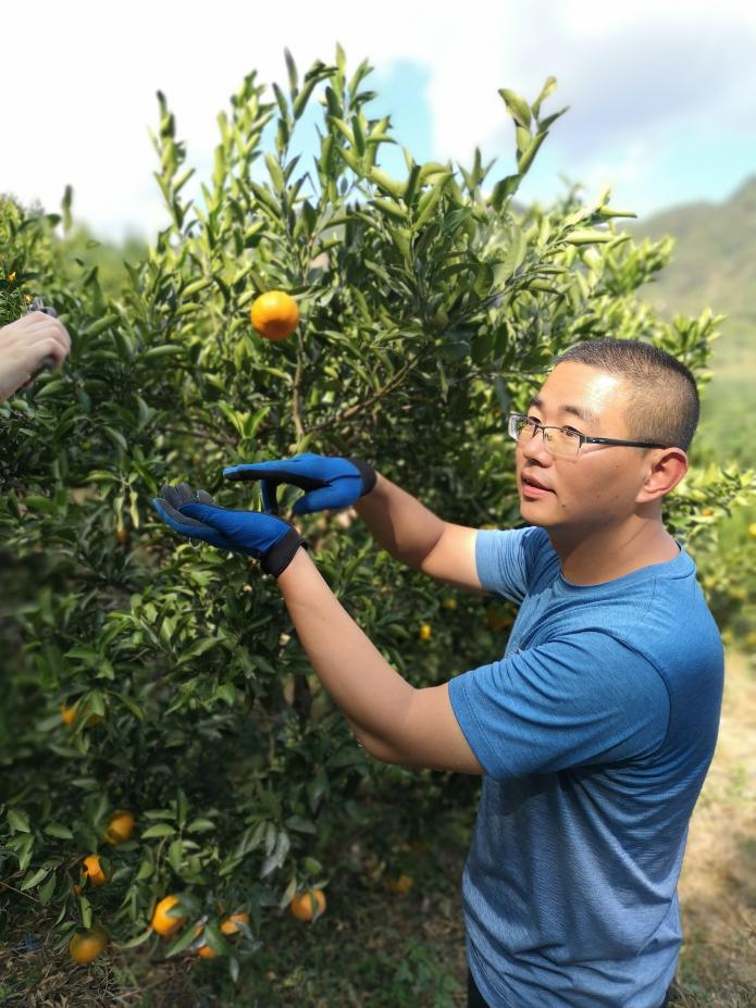 半岛(中国)体育·官方网站【乡村振兴看头雁】永春绿源柑桔专业合作社张宇平：传播科(图3)