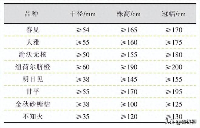 半岛体育四川柑桔快速成园与绿色高效周年管理技术要点(图1)