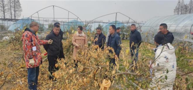 半岛(中国)体育·官方网站解难题传技术果树专家田间地头“把脉问诊”(图1)