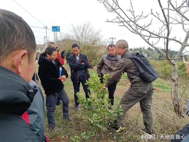 半岛(中国)体育·官方网站河口镇：脱贫不脱帮加强“造血功能”技术扶持助力乡村振兴(图2)