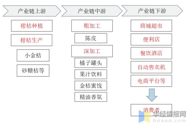 半岛(中国)体育·官方网站中国柑桔加工行业发展现状及趋势分析柑桔产量不断上升「图(图1)