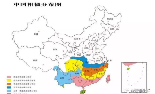 半岛体育【柑橘五张图】水果采购必须掌握的产地分布、品种区分、各品种不同产季等常识(图3)