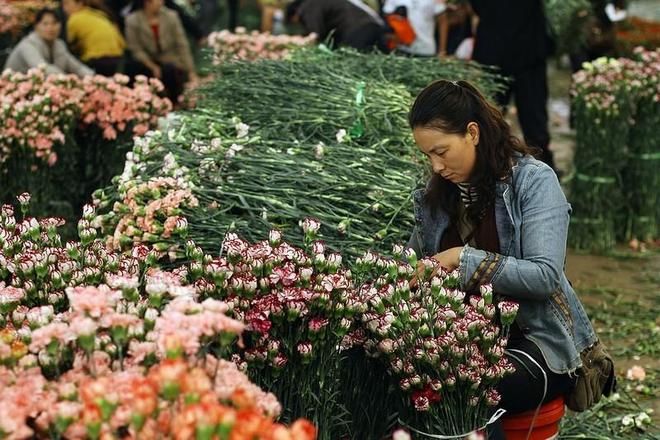 半岛(中国)体育·官方网站中国九大花卉批发市场一年四季花飘香年年岁岁花不同哦(图2)