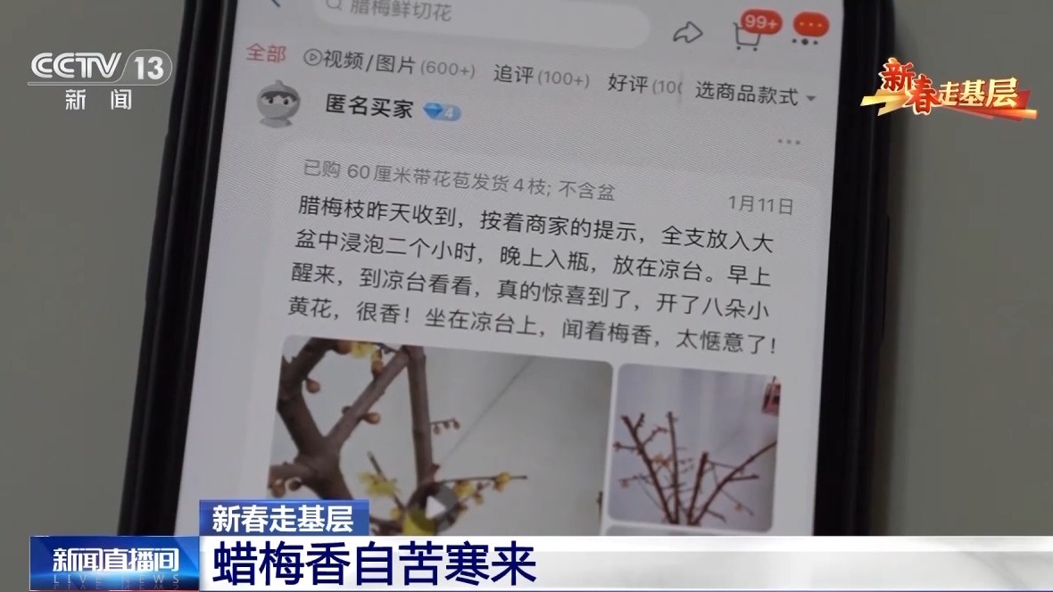 半岛体育新春走基层丨蜡梅有了“经纪人” 不仅网上攒足人气更能“香”飘全国(图2)