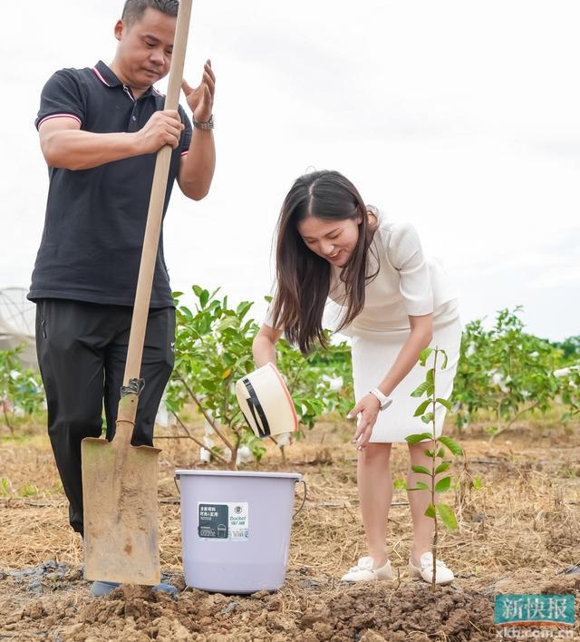 半岛体育点亮“福安果树苗”！南沙区万顷沙镇“云种植”项目正式启动(图2)