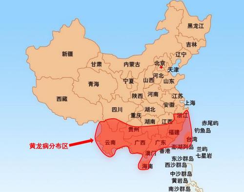 半岛(中国)体育·官方网站我国柑橘种植面值排名及分布你知道多少？(图1)