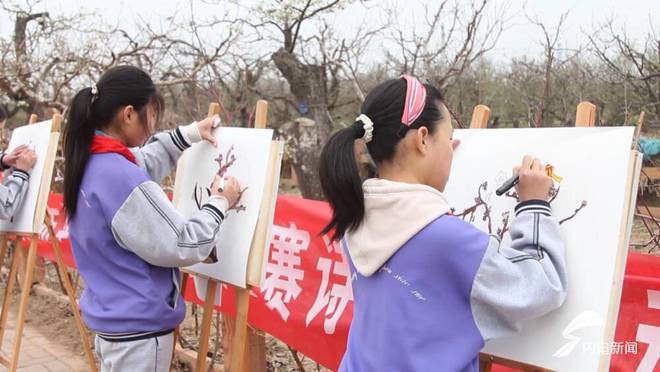 半岛(中国)体育·官方网站平原县：千亩花海带火乡村旅游(图6)