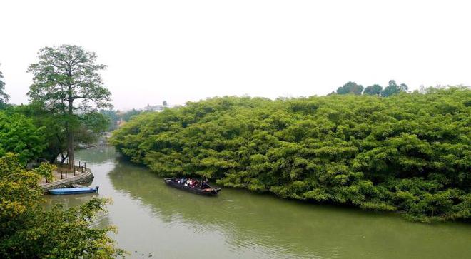 半岛(中国)体育·官方网站中国十大千年古树有的成为鸟的天堂有的却惨遭日本人砍伐(图9)