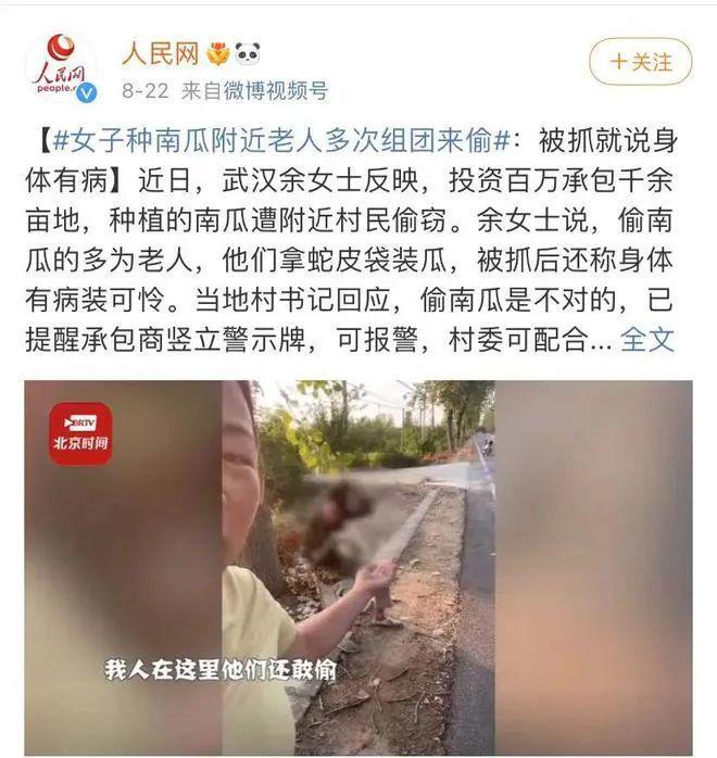 半岛体育安徽亳州百余人狂摘碧根果种植老板怎么撵都撵不走：就是明抢了(图2)