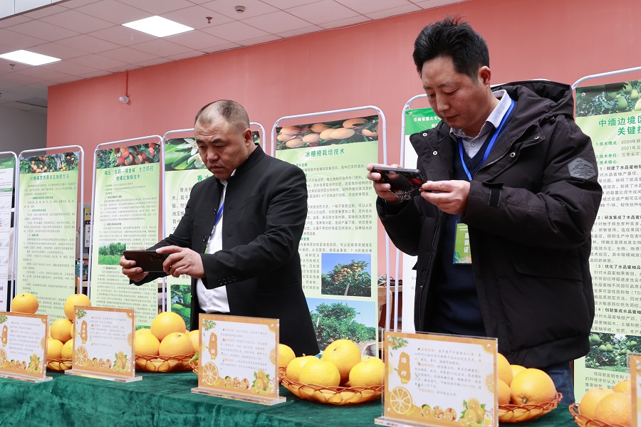 半岛(中国)体育·官方网站专家学者齐聚保山 共探柑橘产业里的科技“密码”_新华网(图4)