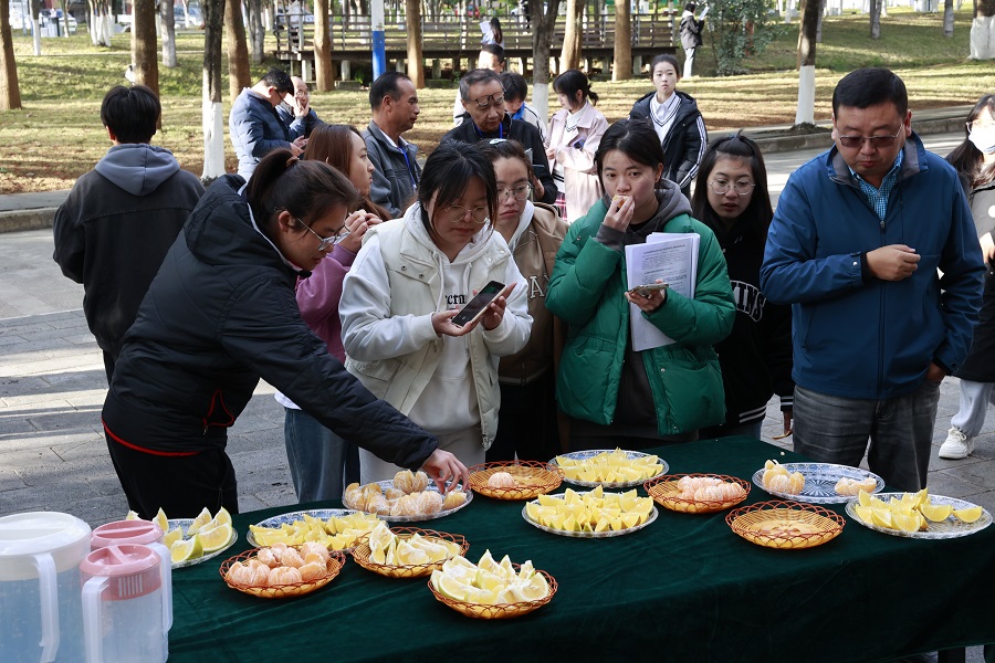 半岛(中国)体育·官方网站专家学者齐聚保山 共探柑橘产业里的科技“密码”_新华网(图5)