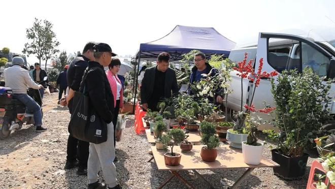 半岛体育把春天带回家永康这个市场人气旺(图1)