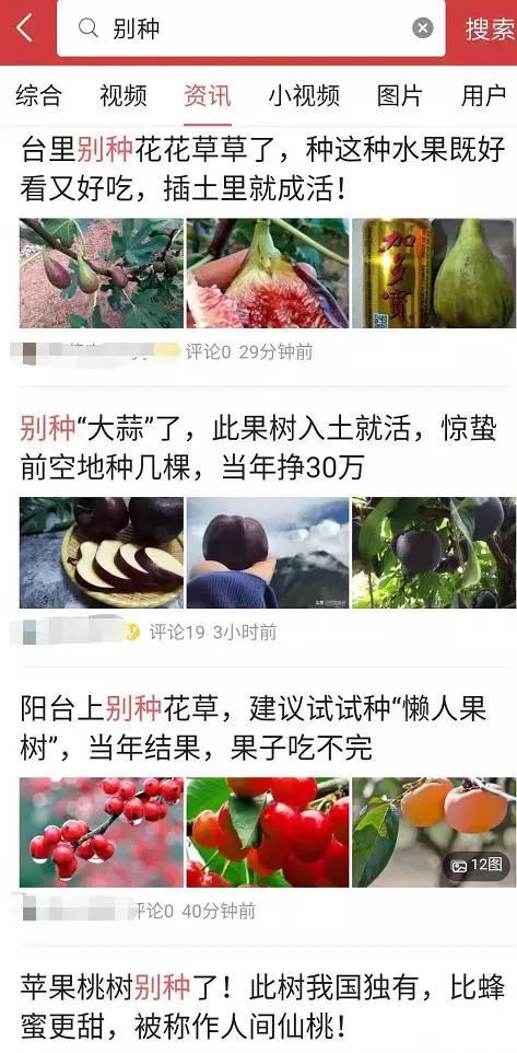 半岛体育山东陕西果农已沦陷！网上购买树苗竟然都是假的(图3)