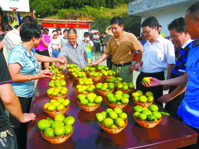 半岛体育图片新闻(图1)