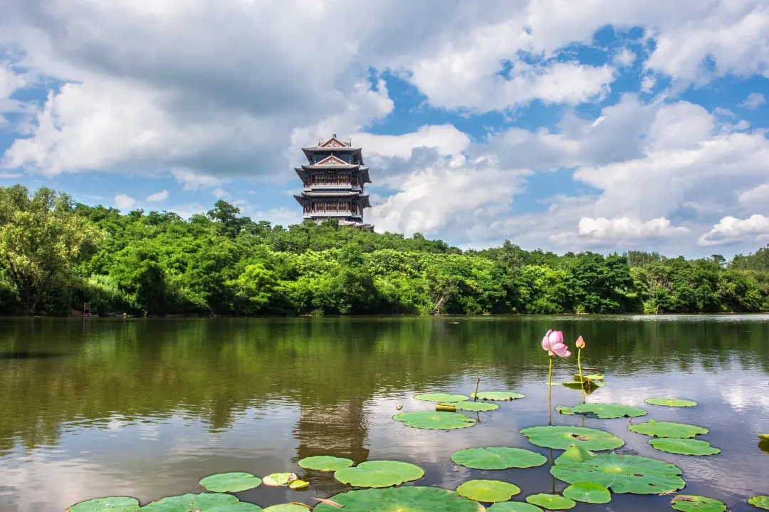 半岛体育观鸟、踏青、采摘……沈阳推出“乡约新场景”！(图7)