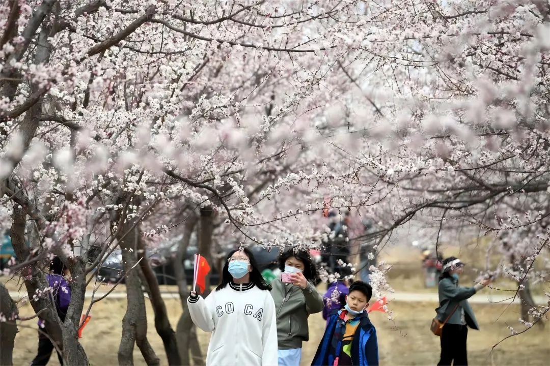 半岛体育观鸟、踏青、采摘……沈阳推出“乡约新场景”！(图9)