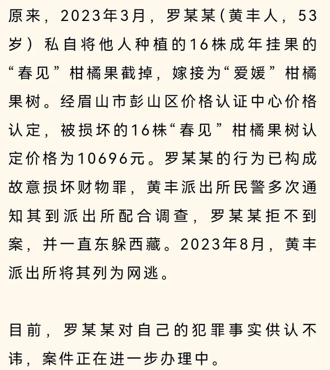 半岛体育害人害己！眉山一男子偷偷把别人家的春见树嫁接成爱媛果树…(图1)