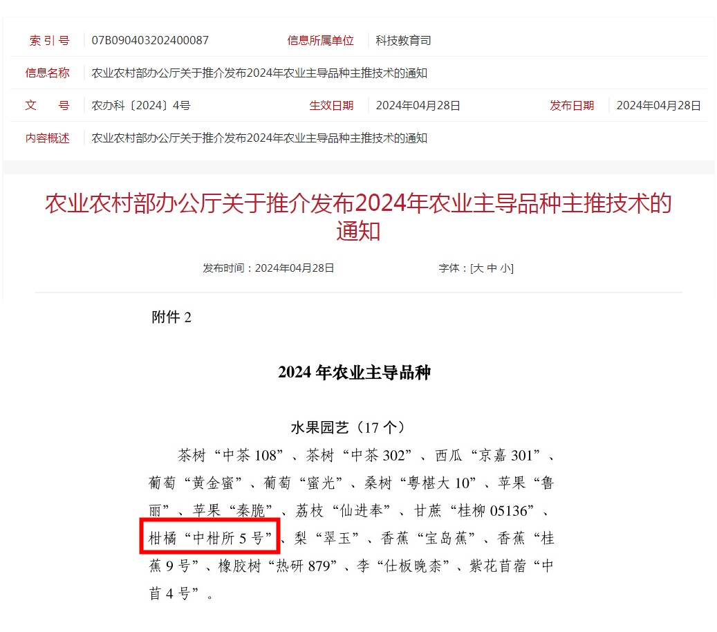 半岛体育西南大学柑桔研究所杂交柑桔新品种入选农业农村部2024年农业主导品种(图1)