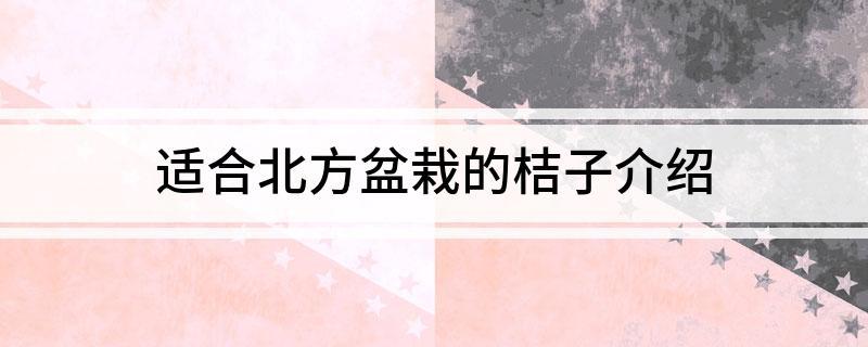 半岛(中国)体育·官方网站适合北方盆栽的桔子介绍(图1)