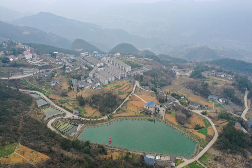 半岛体育有诗有橙有远方——三峡库区重庆奉节加快推进产业转型升级(图3)