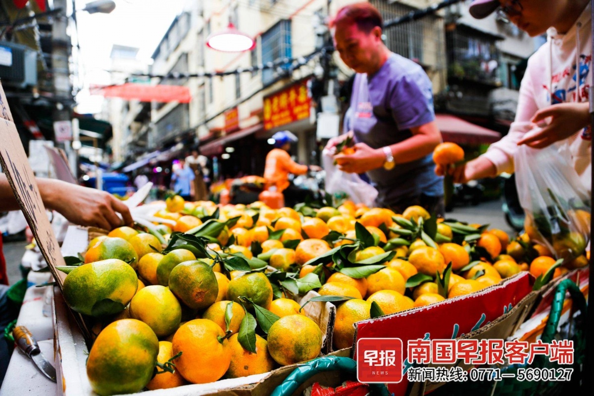 半岛体育广西柑橘大量上市又一波“水果自由”来了！(图1)