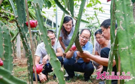 半岛(中国)体育·官方网站徐明举：让果树科技插上互联网的翅膀(图7)