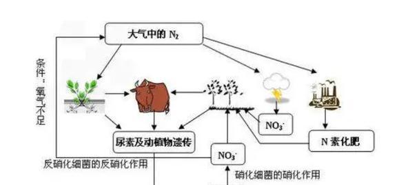 半岛体育在不同含量氮溶液的给养下柑橘树的水分吸收和生长速度有何差异(图2)