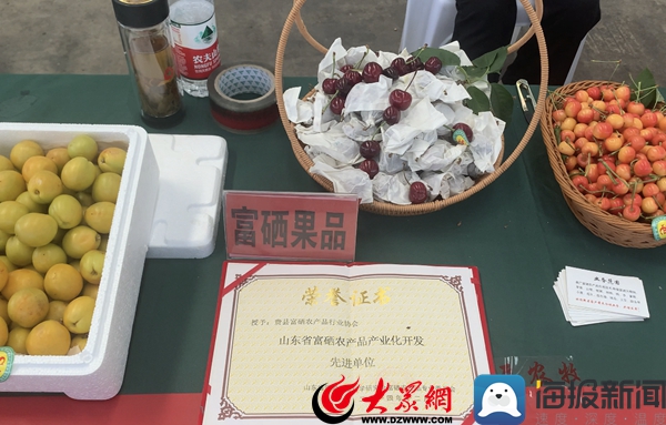 半岛(中国)体育·官方网站临沂市农联优品展销会暨临沂农产品批发市场首届“荔枝节”(图4)