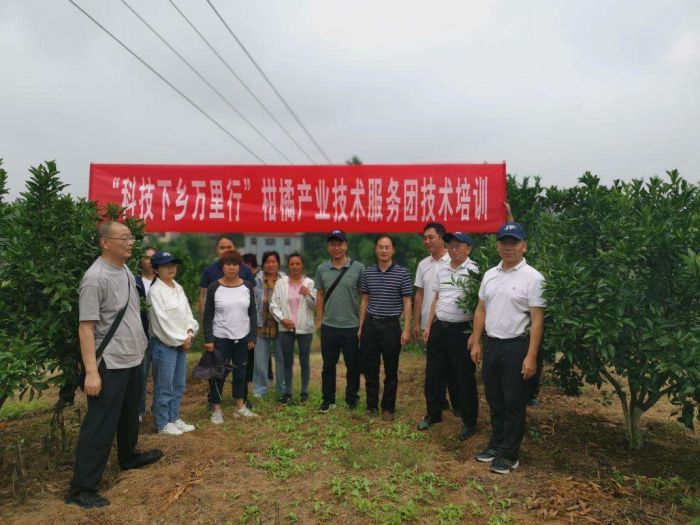 半岛体育四川省“科技下乡万里行”柑橘产业服务团专家组走进广安(图1)