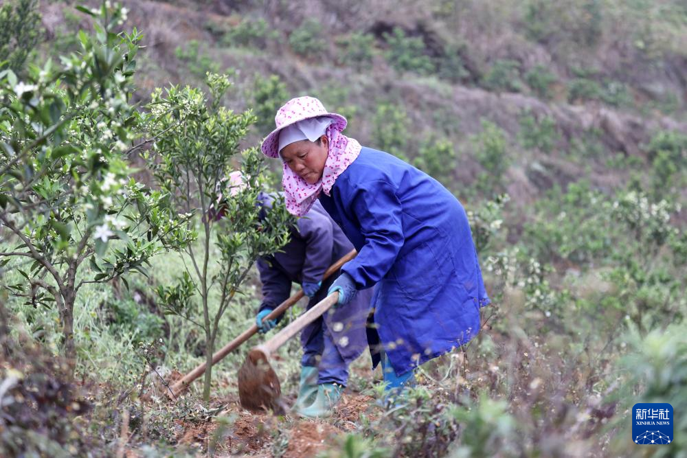 半岛(中国)体育·官方网站新华全媒头条丨“二十四道拐”上的幸福回响(图1)