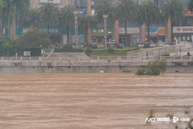 半岛(中国)体育·官方网站北江、绥江洪峰过境砂糖桔田受浸沿线有村落受淹（组图）(图2)