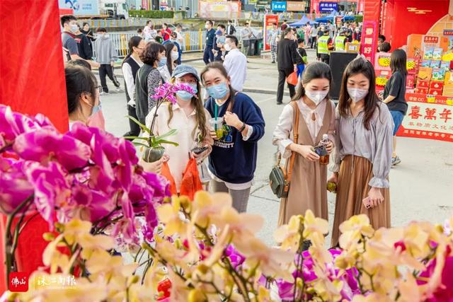 半岛(中国)体育·官方网站过大年必备！佛山最全花市地图请查收！(图5)