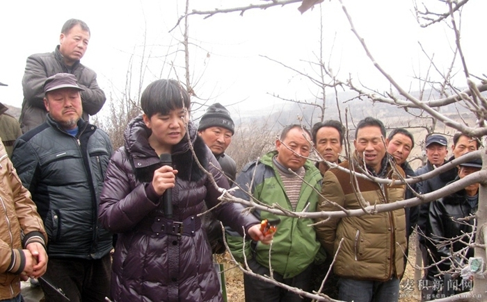 半岛(中国)体育·官方网站麦积区加大苹果园管理培训力度助推农民致富增收(图4)