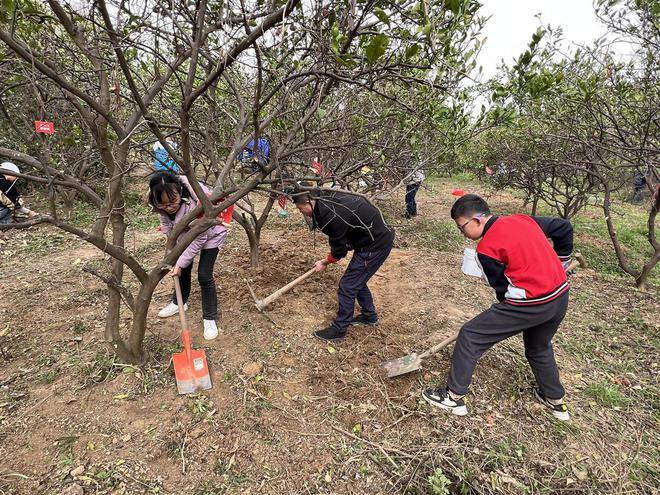 半岛体育植一抹新绿家校携手共添绿色希望(图1)