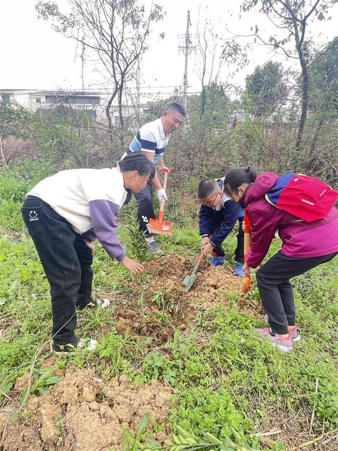 半岛体育植一抹新绿家校携手共添绿色希望(图2)