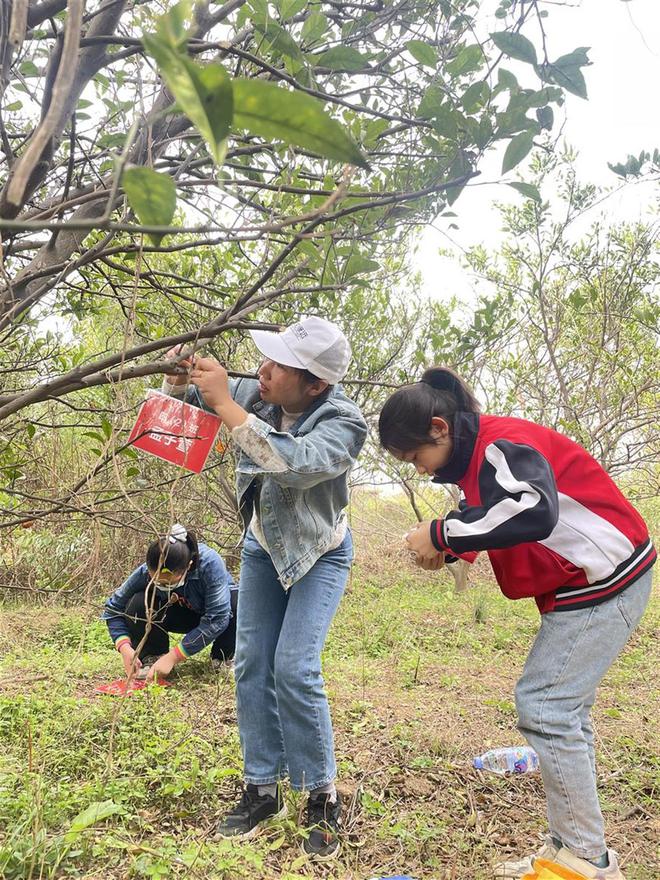 半岛体育植一抹新绿家校携手共添绿色希望(图3)