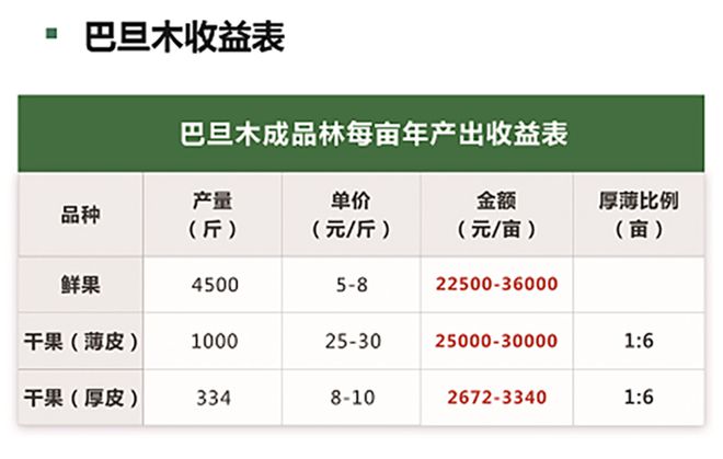 半岛(中国)体育·官方网站山东哪里有巴旦木树苗？山东巴旦木苗木批发(图3)