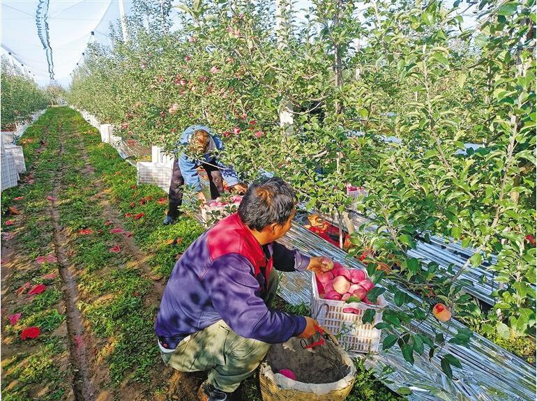 半岛体育飞太空--陕西党建网(图1)