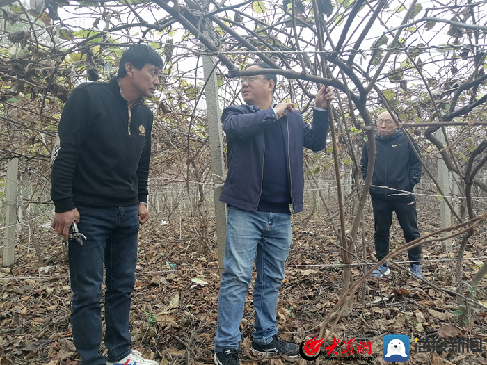 半岛体育“三个突破”在郓城：驻村帮扶兴产业 黄河滩区展新颜(图6)