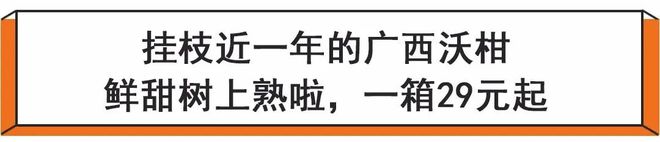 半岛体育鲜甜！开年好味水果广西沃柑树上熟；象山青底部带铜钱印；甘肃静宁苹果满身荣(图1)