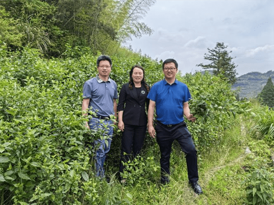 半岛(中国)体育·官方网站浙江中医药大学：发挥中医药院校优势助力山区高质量发展(图2)